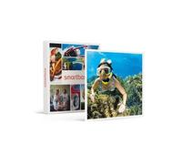 Coffret Cadeau SMARTBOX - Plongée en Corse : sortie en snorkeling d’1h et baptême de 30 min à Calvi- Sport & Aventure G