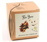 Coffret Cadeau Pour Vous - Tournesol 'Abendrot', in ache-pot, Substrat et Guide de Culture