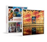 Coffret Cadeau SMARTBOX - Découverte en famille des Bassins des Lumières à Bordeaux : entrée pour 2 adultes et 2 jeunes- Sport & Aventure G