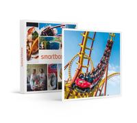 Coffret Cadeau SMARTBOX - Parc Astérix : Billet d’entrée pour 1 adulte Basse Saison - Parc Astérix : Billet d’entrée pour 1 adulte