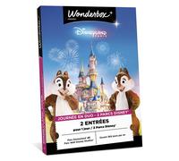 Coffret cadeau Ticknbox 2 entrées pour 1 journée pour 2 parcs Disneyland