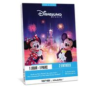 DISNEYLAND PARIS 1 JOUR / 1 PARC