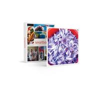 Coffret Cadeau SMARTBOX - Visite d’une safranière et d’un vignoble en agriculture biologique avec dégustations- Gastronomie G