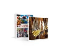 - Coffret Cadeau Visite onologique avec cours, dégustation de vins et 3 bouteilles à emporter près de Nantes-Gastronomie