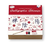 Aladine - Kit d’Initiation à la Calligraphie Chinoise - Pinceau, 2 Encres & Cahier d’Écriture - Apprentissage Idéogrammes Caractères Chinois - Adulte & Enfant - Loisirs Créatifs - 85517