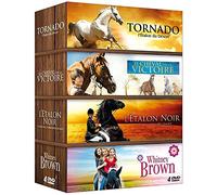 Coffret Cheval 4 DVD : Tornado l'étalon du désert + L'étalon noir + Whitney Brown + Le cheval de la victoire