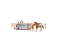 Coffret Cheval Entraînement Appaloosa 42433
