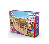 Coffret Cheval Entraînement Appaloosa 42433