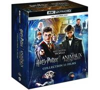 Warner Bros. Pictures Wizarding World : Harry Potter 1 à 8, Les Animaux fantastiques 1 à 3 - Blu-ray