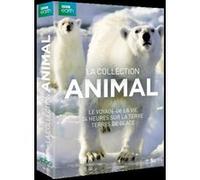 Coffret Collection Animal 3 documentaires DVD E
