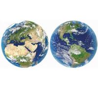 Coffret de 2 Puzzles Ronds de la Carte du Monde 800 Pieces - Set Collection planete + 1 Carte Tigre - Terre - nouveauté