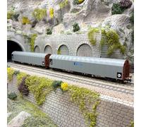Coffret de 2 wagons à bâche coulissante 4 essieux type Rils-y, ČD Cargo, Ep. VI