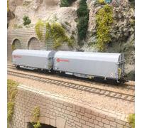Coffret de 2 wagons à bâche coulissante Shimmns "Ermewa", Ep. VI - MARKLIN 47230