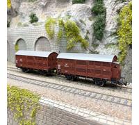 Coffret de 2 wagons à lisses type Snh (avec cabine de frein) et Sn (sans cabine)