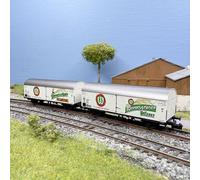 Coffret de 2 wagons frigorifiques 2 essieux «Wernesgrüner», DR, Ep. IV - ARNOLD