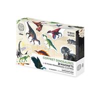 Coffret de 21 magnets dinosaures