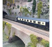 Coffret de 3 voitures "Sud Express", voiture-salon CIWL, 2 DEV Inox courtes, N°2