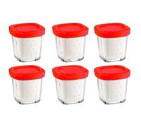 Coffret De 6 Pots Avec Égoutoir Delices Box Pour Yaourtiere Seb