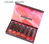 Coffret de 6 rouges à lèvres - Maquillage & Cosmétiques pour femmes - Baume à lèvres & Rouge à lèvres aux couleurs vives - Longue tenue, soin, coffret cadeau pour femmes