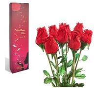 Coffret de 9 Roses Eternelles FISHTEC Parfumées - Cadeau pour Femme et Fete des Mères Rouge G