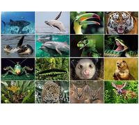Coffret de cartes postales de 16 cartes lenticulaires 3D aux motifs animaliers de l'Edition Colibri