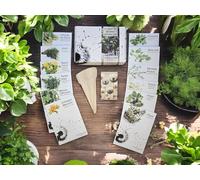 Coffret de Graines - Spécial Plantes Aromatiques - SemiSauvage Permaculture