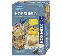 Coffret D'expérience - Kosmos - Kosmos 657918 - Fossiles - Dinosaures - Expérience Encadrée