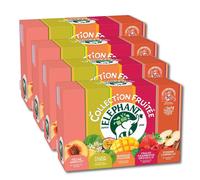 Coffret d'Infusions Fruitées Éléphant 5 variétés - 4 coffrets - 200 sachets pyramides