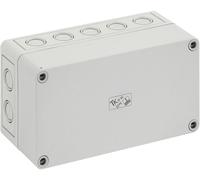 Coffret dinstallation Spelsberg TK PS 1809-8-m 10591001 gris clair (RAL 7035) 180 x 94 x 81 Polystyrène expansé (EPS) 1 pc(s)