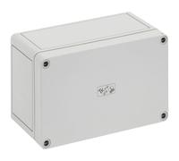 Coffret d'installation Spelsberg TK PS 1811-9 11040601 gris clair (RAL 7035)