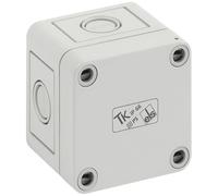 Coffret d'installation Spelsberg TK PS 77-6-m 10540101 gris clair (RAL 7035) 65