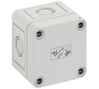 Coffret d'installation Spelsberg TK PS 77-6-m 10540101 gris clair (RAL 7035) 65 x 65 x 57 Polystyrène expansé (EPS) 1 pc(s)