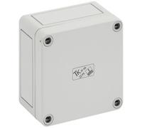 Coffret d'installation Spelsberg TK PS 99-6 11040301 gris clair (RAL 7035) 94 x