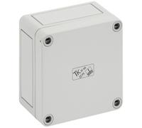 Coffret d'installation Spelsberg TK PS 99-6 11040301 gris clair (RAL 7035) 94 x 94 x 57 Polystyrène expansé (EPS) 1 pc(s)