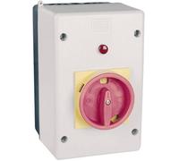 Coffret d'installation WEG MPE55G-E gris clair plastique 1 pc(s)