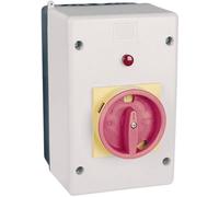 Coffret dinstallation WEG MPE55G gris clair plastique 1 pc(s)