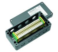 Coffret d'installation Weidmüller KLIPPON POK3 M20ACSS EX 8000004228 polyester 1 pc(s)