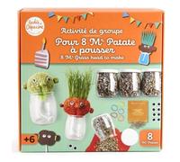 Coffret DIY - Mr Patate à faire pousser