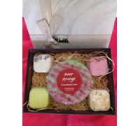 Coffret Douche Galets de Douche et Savon Éponge (Eponge Fraise Kiwi) | Coffret Soin, Galets Douche Aromathérapie, Éponge imprégnée de savon, Soin du Corps