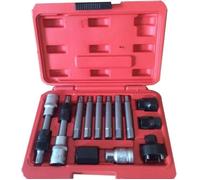 Coffret douilles embouts démontage poulie alternateur débrayable multimarques torx btr 13pcs