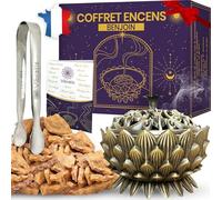 Coffret Encens Benjoin - 100g d'Encens Benjoin, Encensoir et Pince en Acier Inoxydable - Idéal pour la Purification & Méditation
