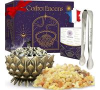 Coffret Encens Oliban Naturel - 100g d'Encens Boswellia Serrata, Encensoir et Pince en Acier Inoxydable - Idéal pour la Purification & Méditation (Encens Oliban 100g)