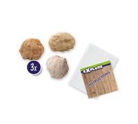 Coffret Explore : Géodes À Ouvrir