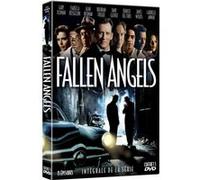 Coffret Fallen Angels L'intégrale DVD E