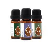 Coffret Huiles Essentielles Bio "Magie de forêt" | 3 pcs x 10 ml