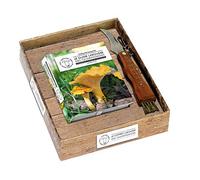Coffret Le Larousse des champignons
