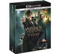 Coffret Les Animaux Fantastiques 1 à 3 Blu-ray 4K Ultra HD