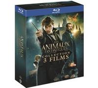 Coffret Les Animaux Fantastiques 1 à 3 Blu-ray E