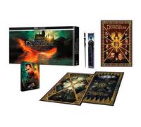 Les Animaux Fantastiques 3 : Les Secrets de Dumbledore – Blu-ray 4K – Éd. Collector Fnac SteelBook