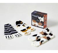 Coffret Les goûters de la famille Chat chaussettes, 2e éd